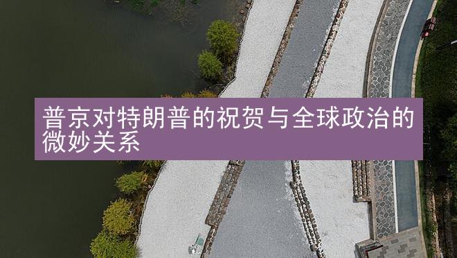 普京对特朗普的祝贺与全球政治的微妙关系